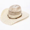 Cody James Men's 15X Bangora Braided Arrow Cowboy Hat